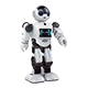 Intelligent Robot