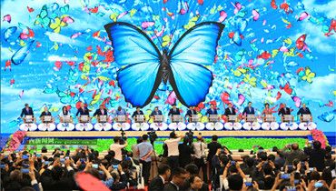 城市漫步机器人亮相第十五届中国东盟博览会